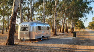 Image of A silver caravan parked beneath tall eucalyptus trees at a Queensland rest area, golden afternoon light filtering through the branches, green hills rolling into the distance — the quiet, unhurried pace of a grey nomad's afternoon in the Gympie region.