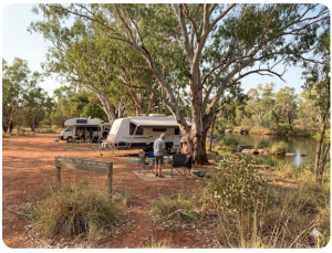 Caravans camping under river gum trees at Mary Pool Rest Area Kimberley WA