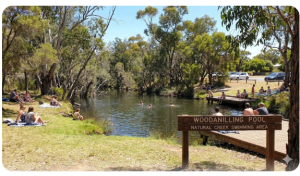 Woodanilling Pool natural creek swimming spot in Woodanilling Western Australia